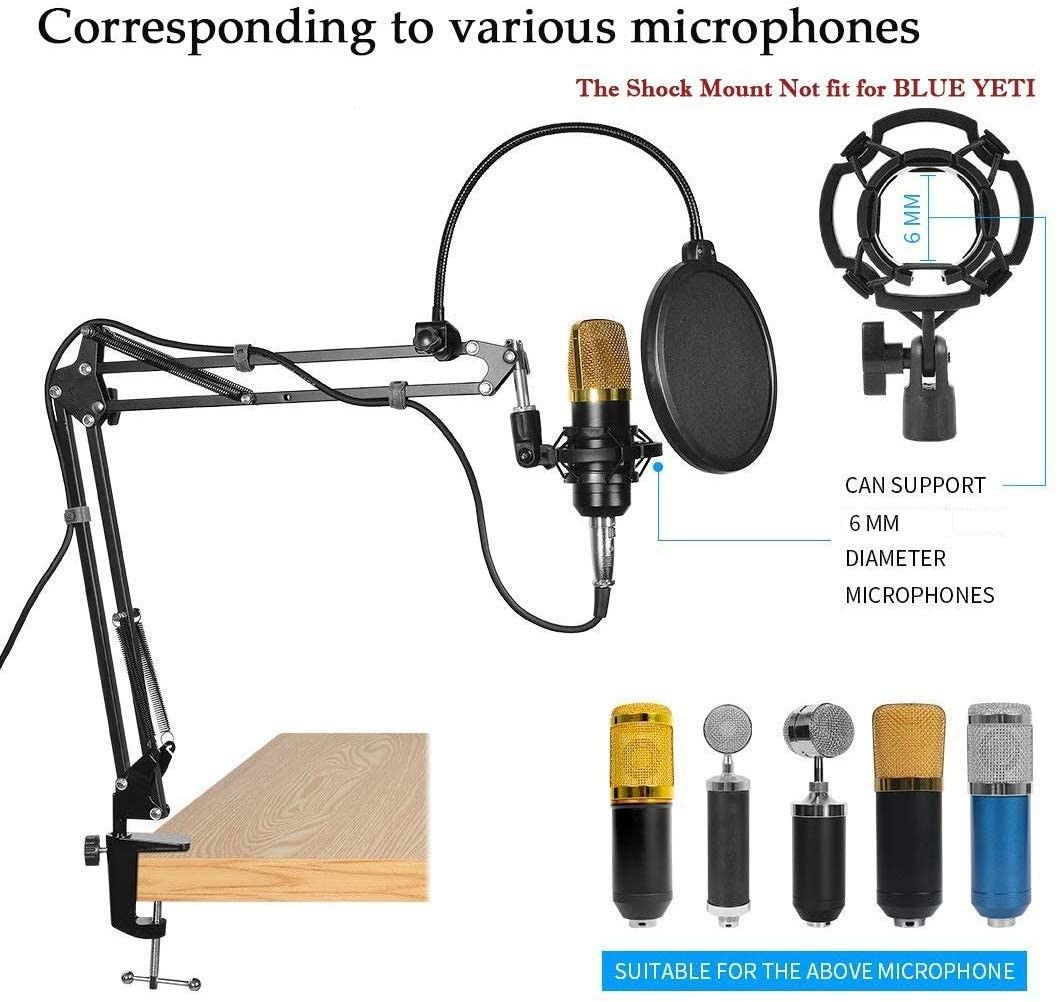 Microphone Radio Broadcasting Stand With 3/8t o 5/8 Screw Adapter