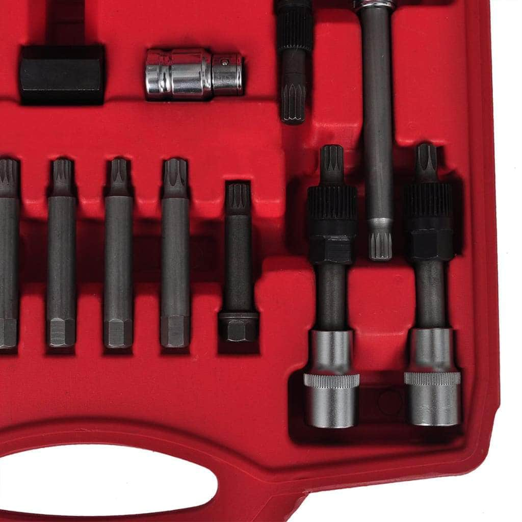 22 Piece Alternator Freewheel Removal Set