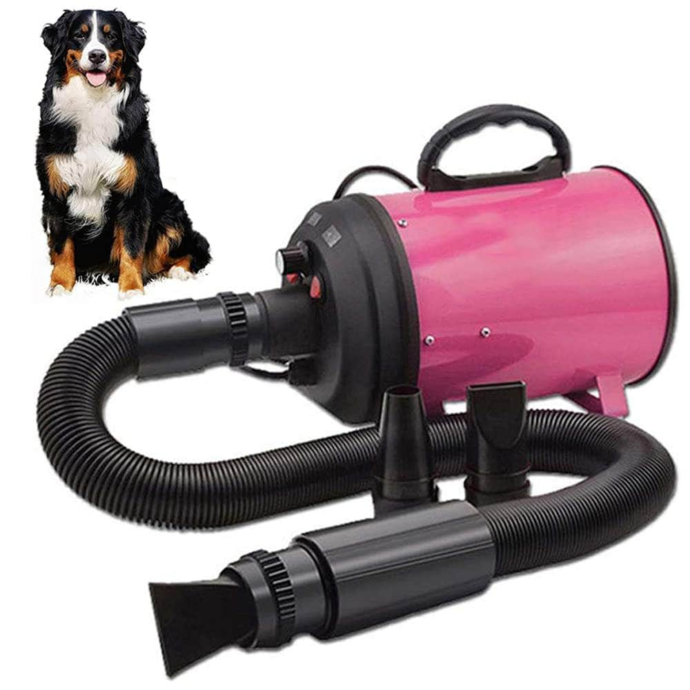 2800W High Pet Dog Dryer With Adjustable Speed