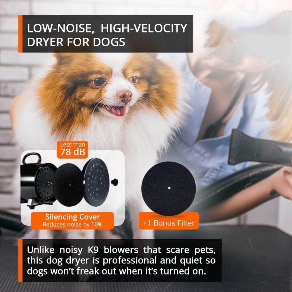 2800W High Pet Dog Dryer With Adjustable Speed