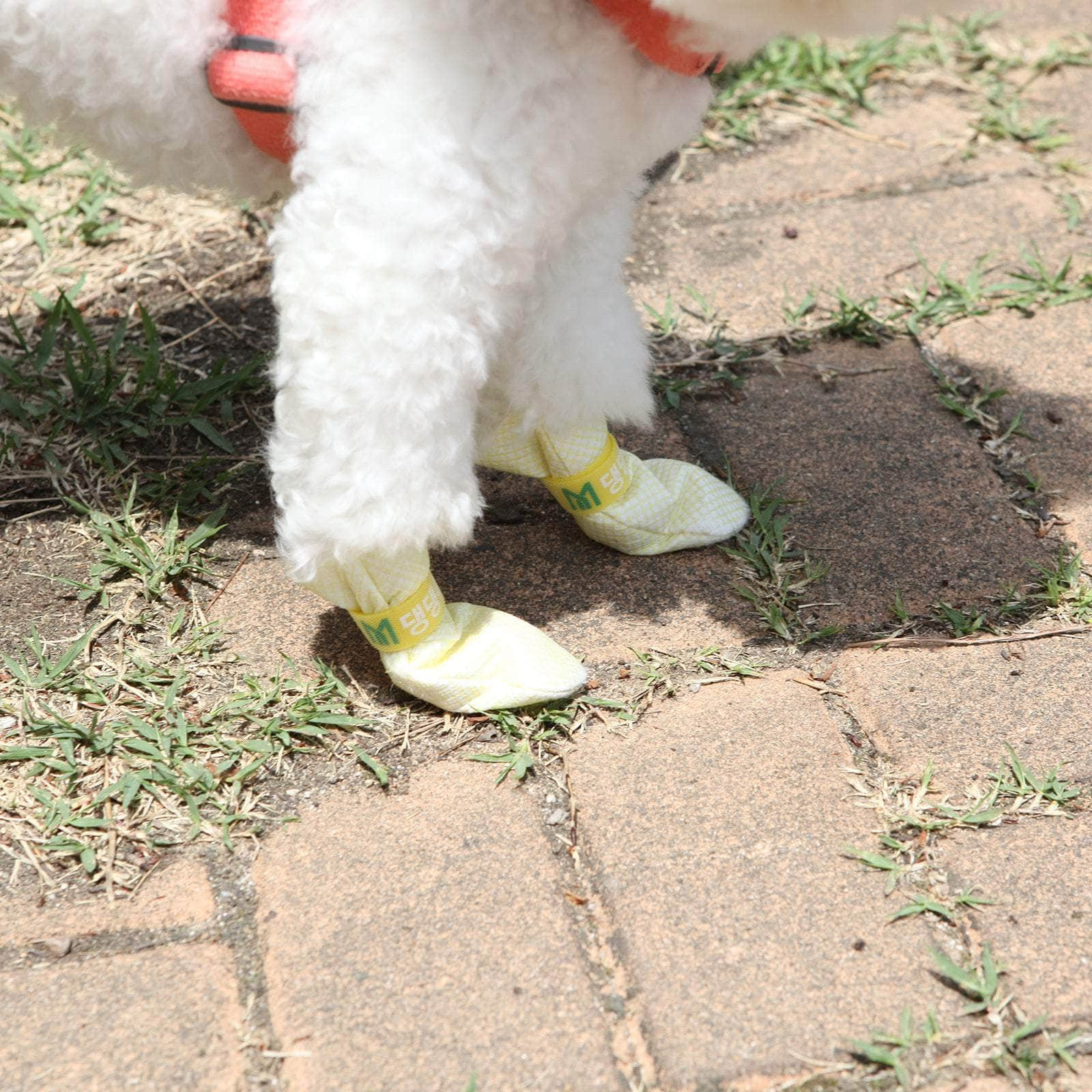 28x Waterproof Dog Shoes - Disposable Anti-Slip Pet Socks, Large, Blue