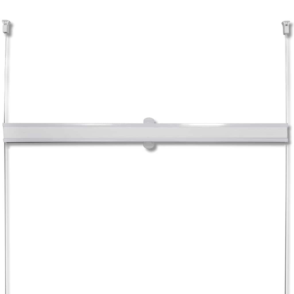 Plisse Blind White Pleated Blind SM