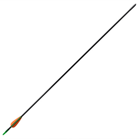 Standard Recurve Bow Arrows 30