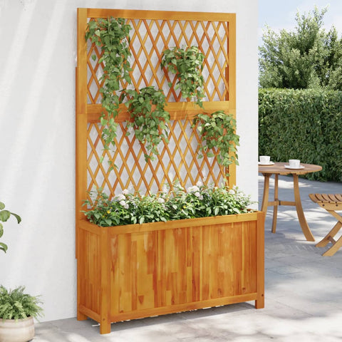 Solid Wood Acacia - Planter with Trellis