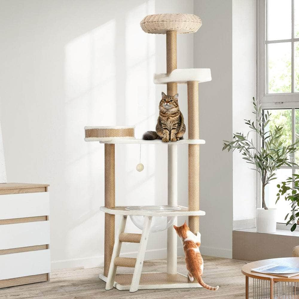 Cat Tree Rattan Cat Scratching Post 153CM