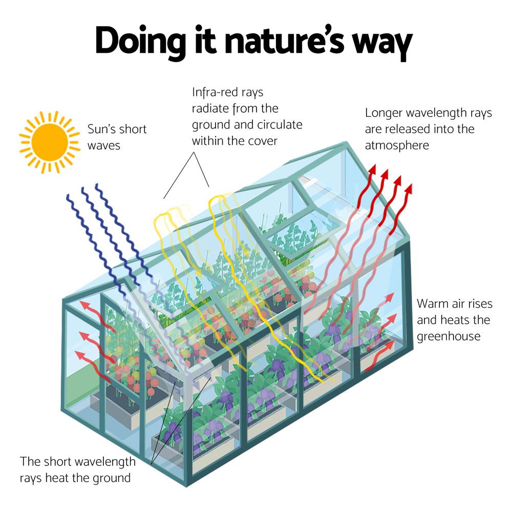 6.3x2.44m Aluminium Greenhouse - Polycarbonate Shed