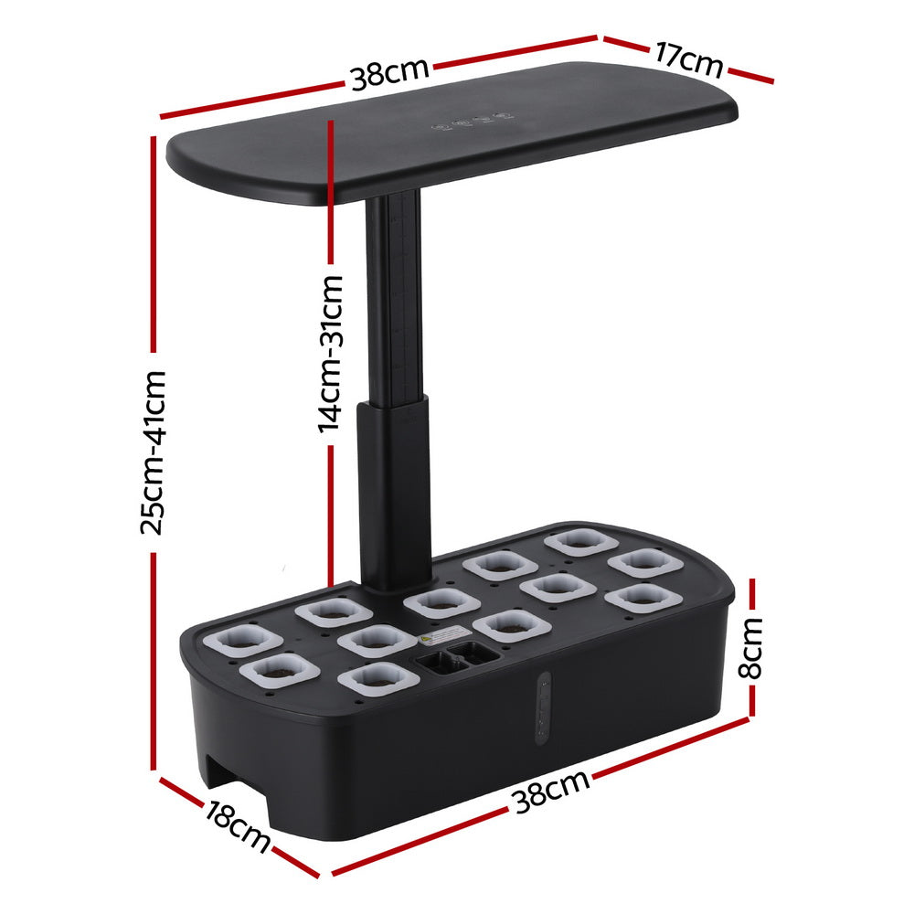 Hydroponics Growing System with LED lights