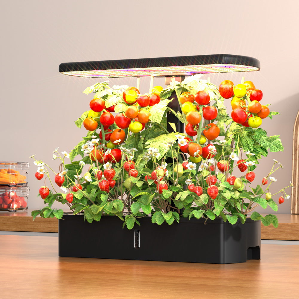 Hydroponics Growing System with LED lights