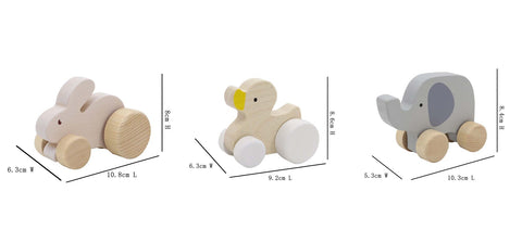 Wooden Animal Car Set Of 3