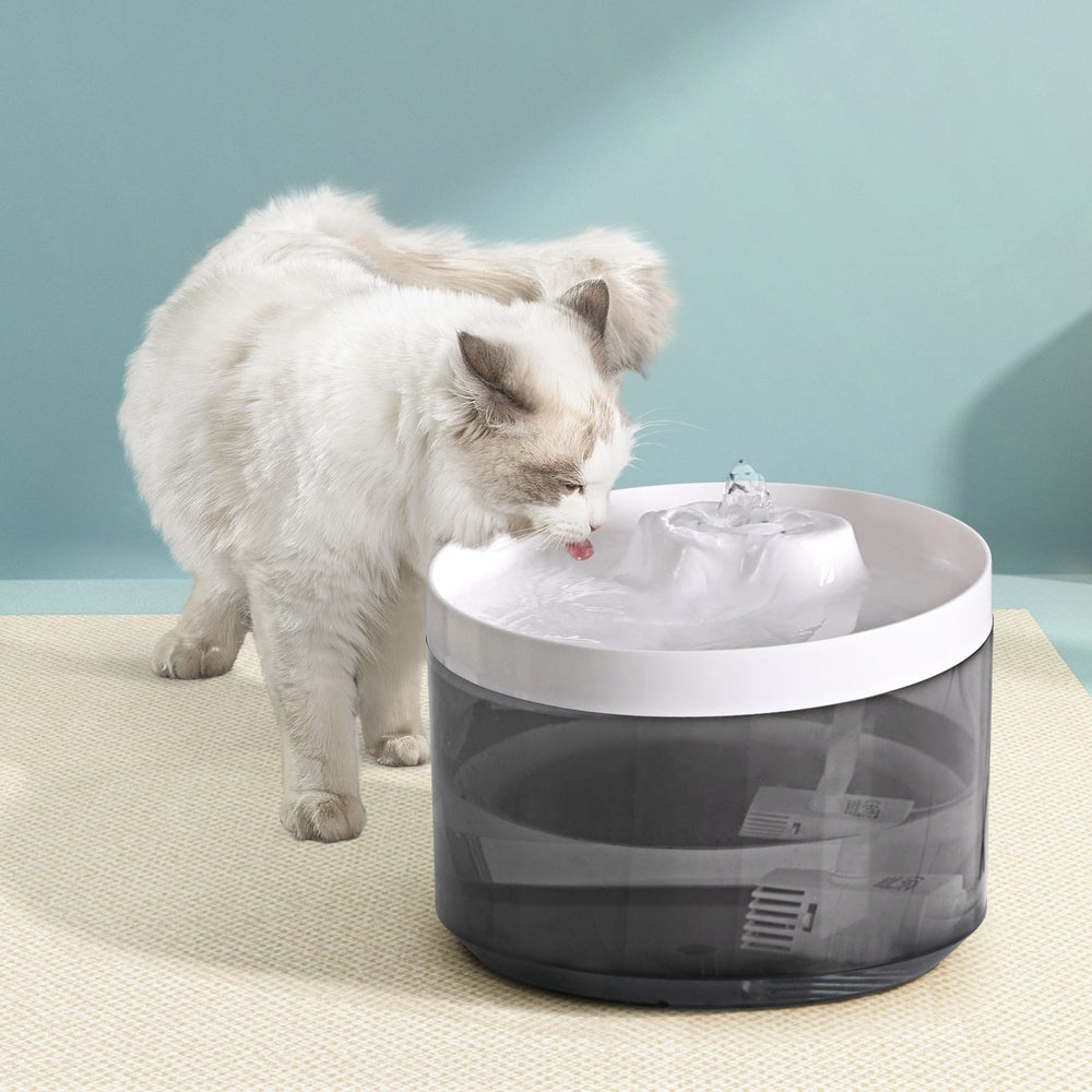 Pet Water Fountain Feeder Dispenser Filter Dog Cat Drinking Automatic