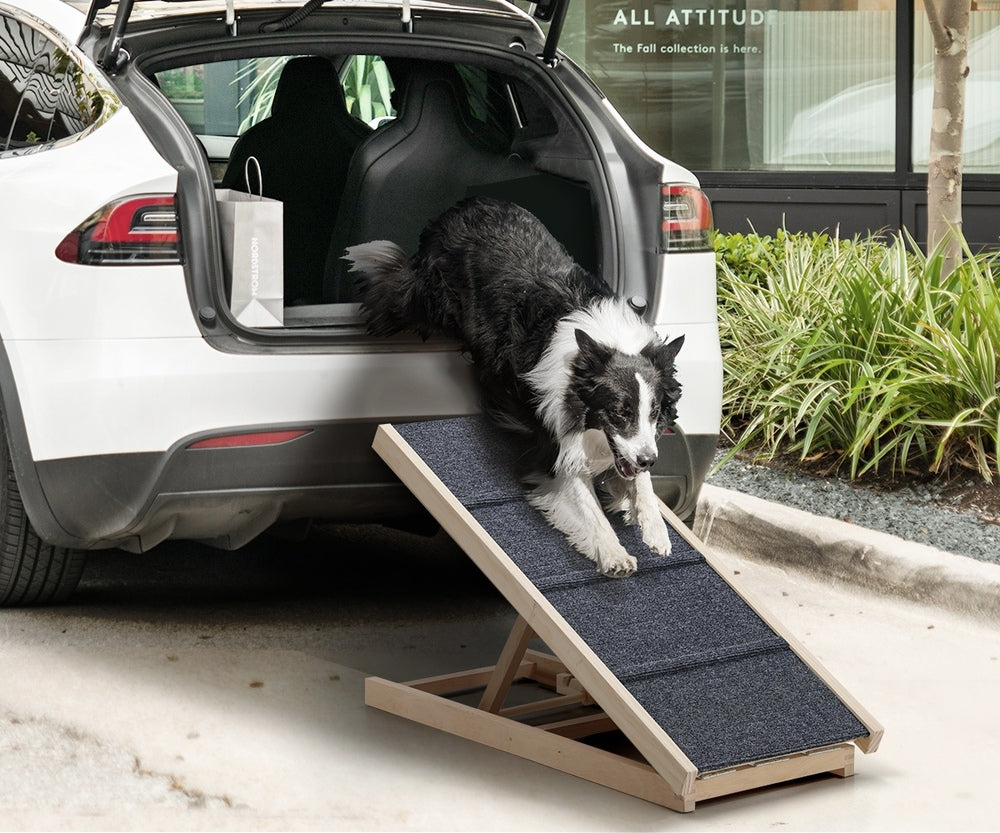 Dog Pet Ramp Adjustable Height Foldable 100cm