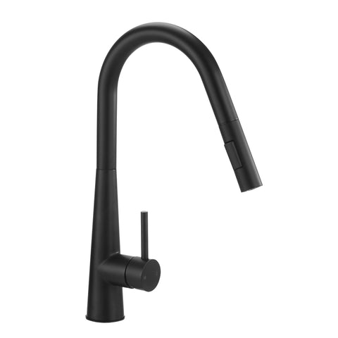 Kitchen Mixer Tap Pull Out Faucet 2-Mode Swivel Black