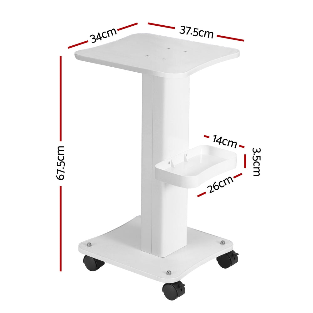 Salon Trolley Cart Hairdressing Storage Stand