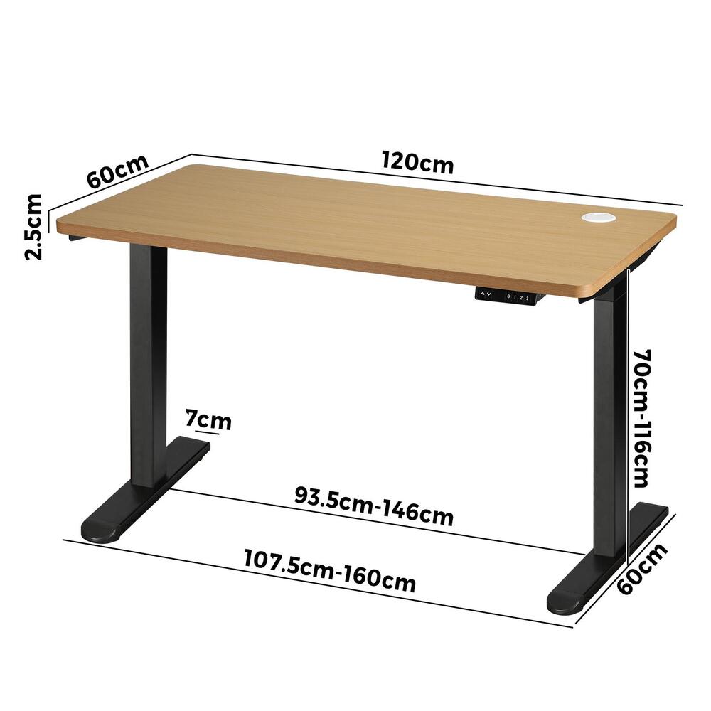 Rise to New Heights with Dual Motor Electric Standing Desk