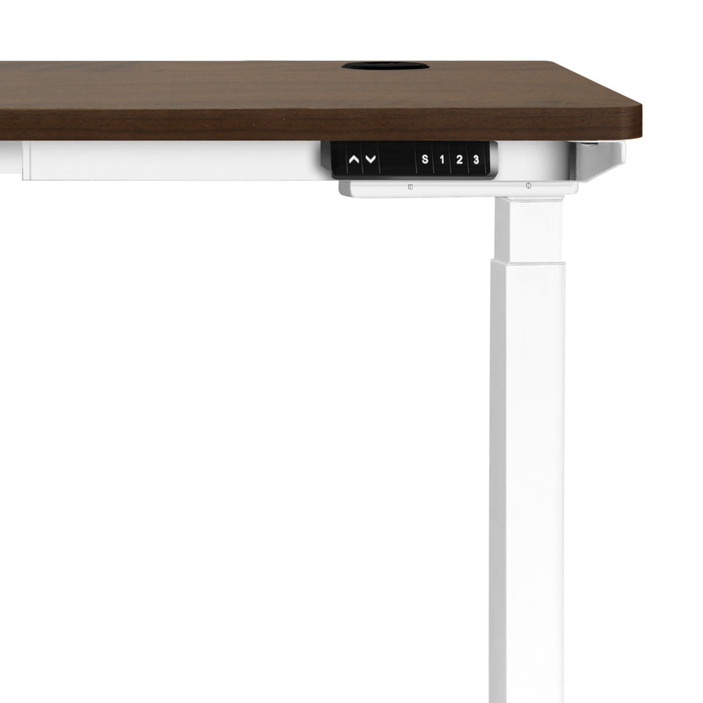 Standing Desk Dual Motor Electric Height Adjustable Motorised Sit Stand Desk 150cm White and Walnut