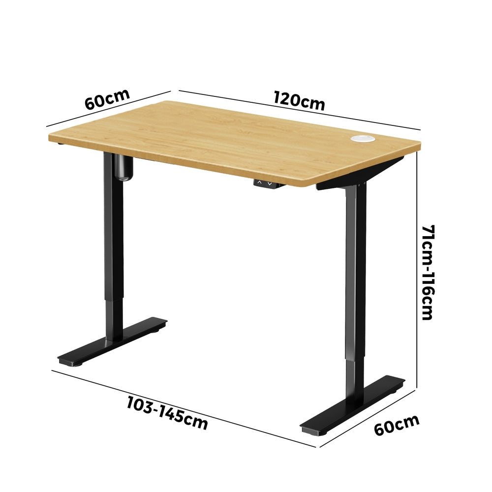 Elevate One Single Motor Electric Standing Desk