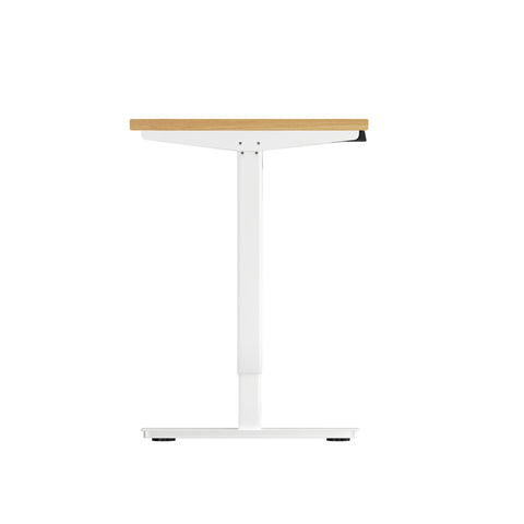 LiftMate Single Motor Electric Standing Desk