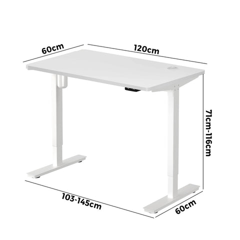 Electric Standing Desk Single Motor Height Adjustable Sit Stand Table White and Walnut 120cm