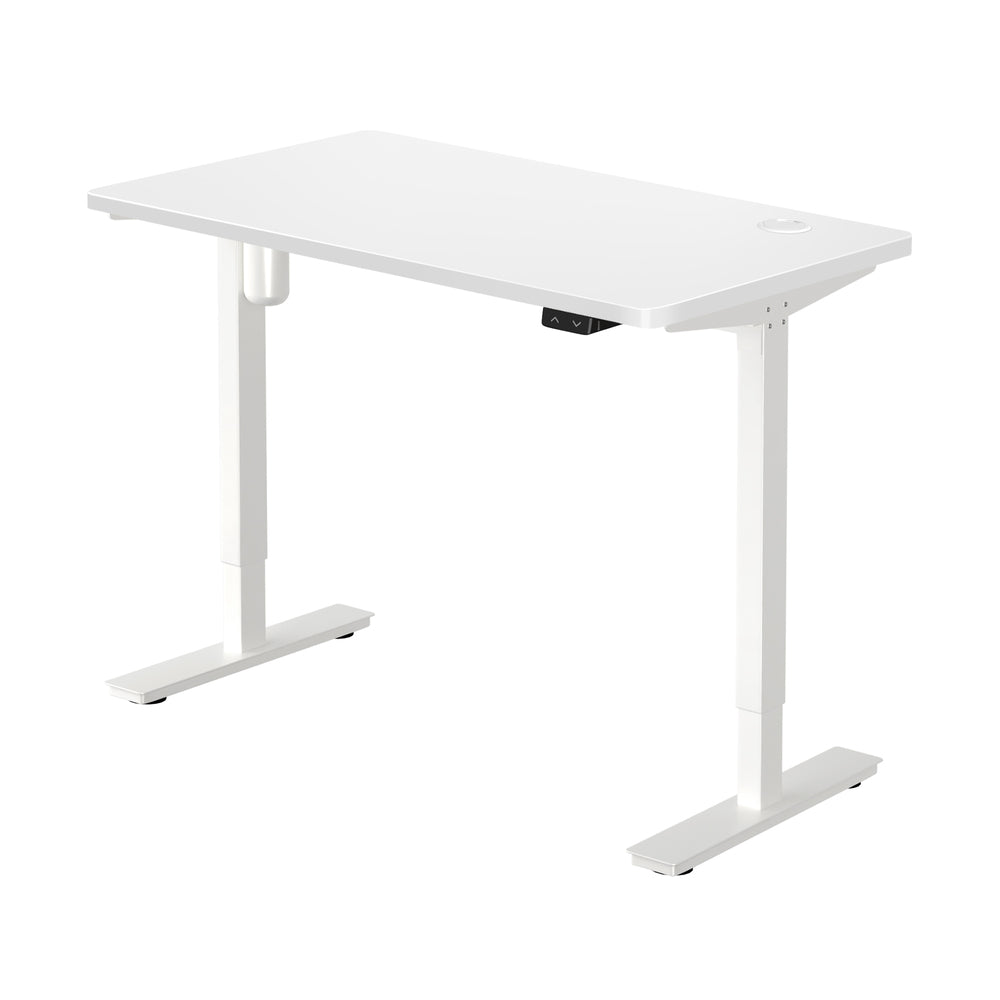 Electric Standing Desk Single Motor Height Adjustable Sit Stand Table White and Walnut 120cm