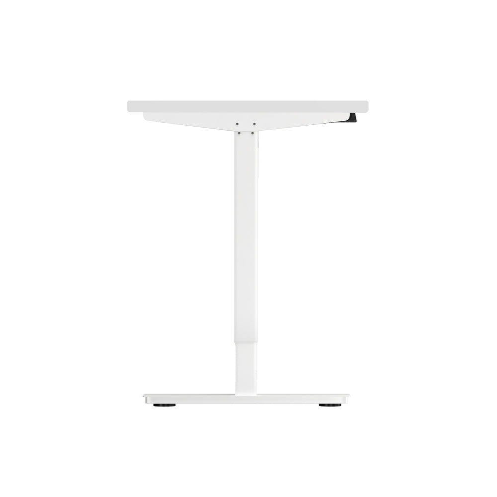 Electric Standing Desk Single Motor Height Adjustable Sit Stand Table White and Walnut 120cm