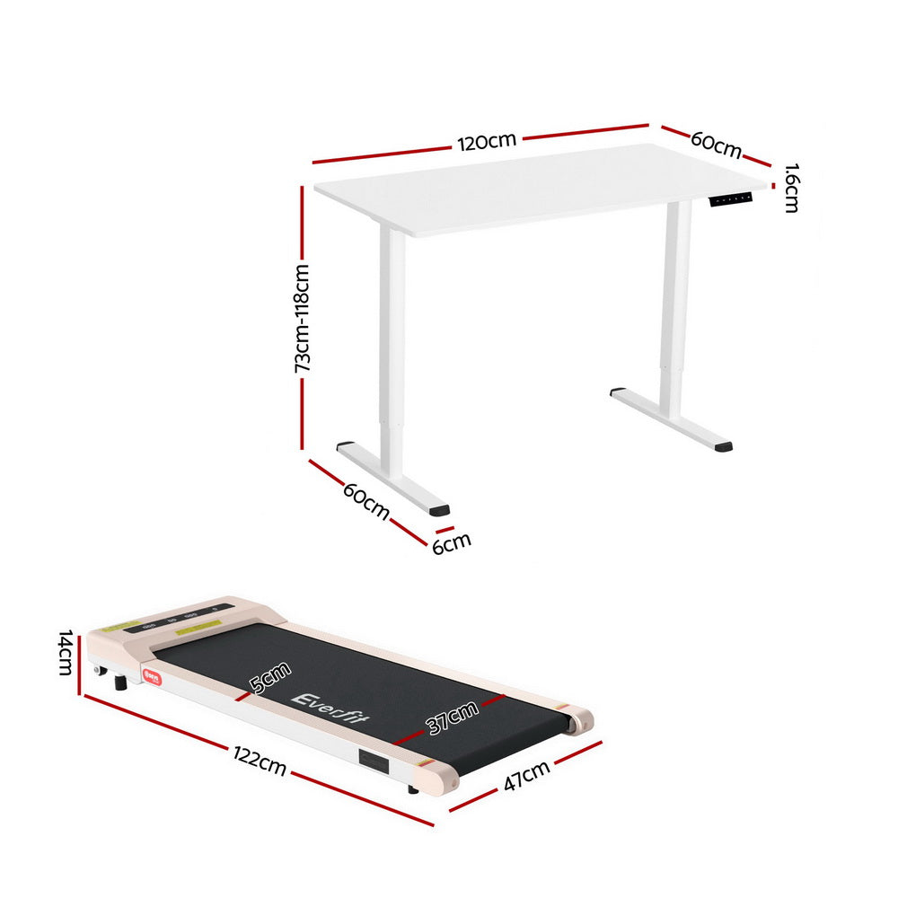 120CM Standing Desk with 360MM Electric Walking Pad