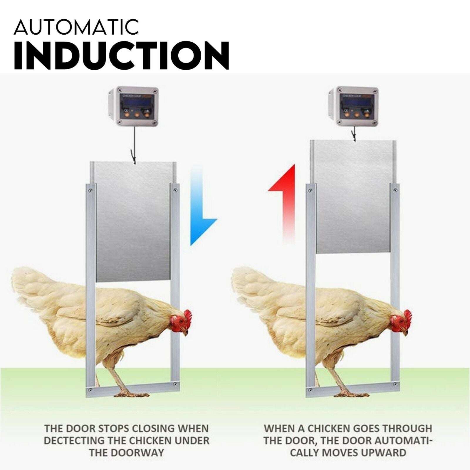 Chicken Coop Door With Digital Lcd Screen To Manage Timer And Sensor