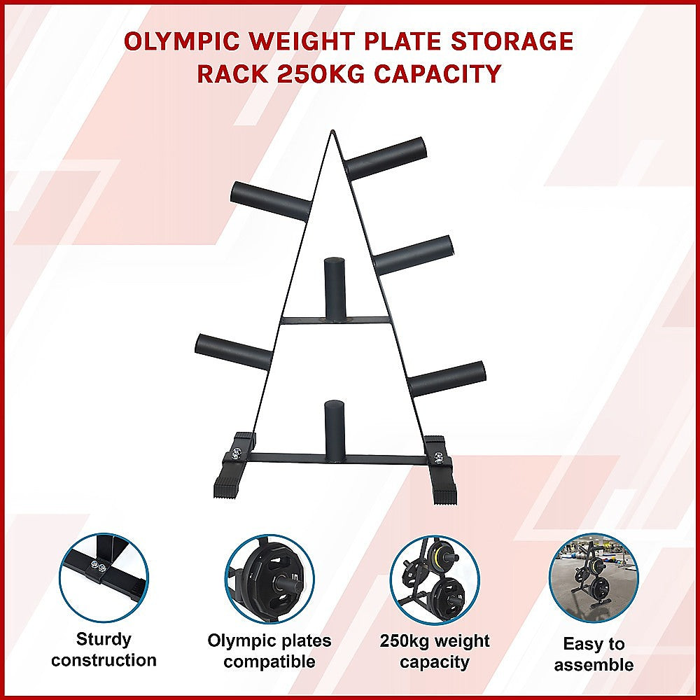 Heavy-Duty Olympic Weight Plate Storage Rack - 250kg