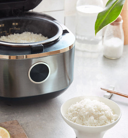 Mini Rice Cooker 2L for 1-3 People LED Touch Panel FA-F20 AU Model