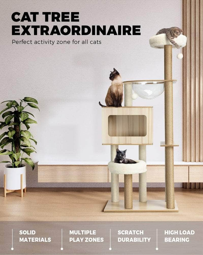 A Scratch Above the Rest: The Stylish and Functional Cat Condo House