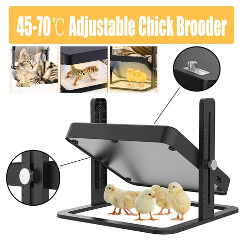 Adjustable Chick Brooder Heating Plate Chicken Coop Duck Poultry Brooder