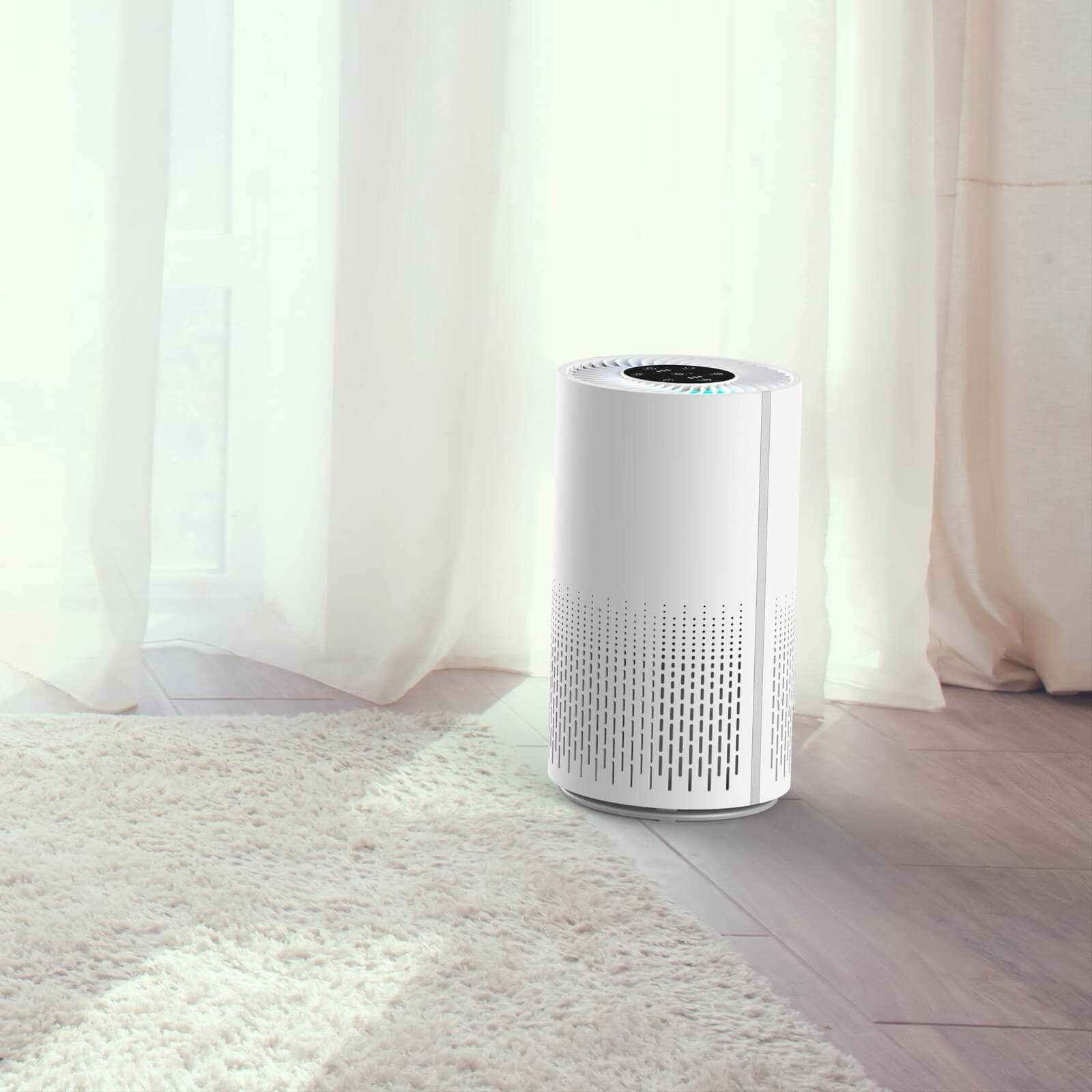 Air Purifier And Cleaner With Hepa Filter, Timer