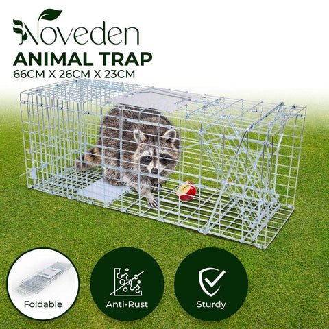 Animal Trap