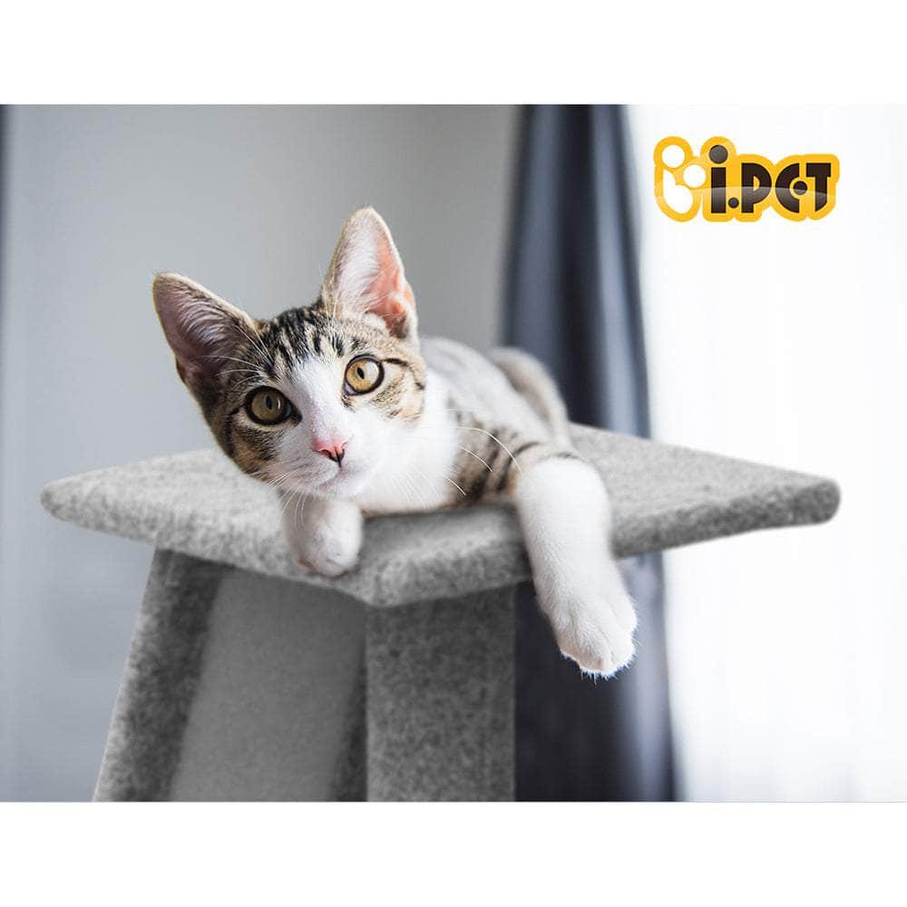 Compact 82cm Cat Tree with Scratching Post