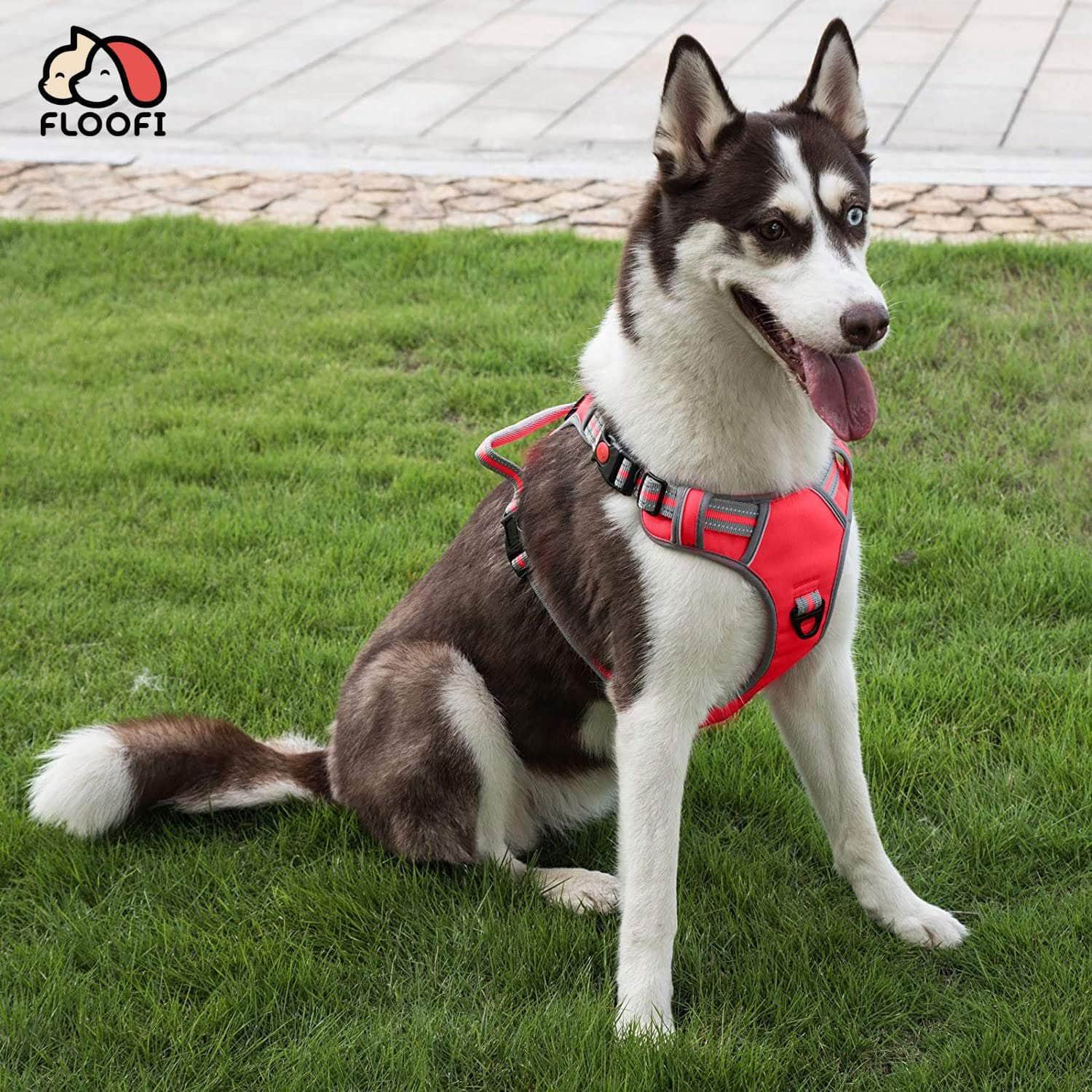 Dog Harness Vest Xxl/XL/L/M Size