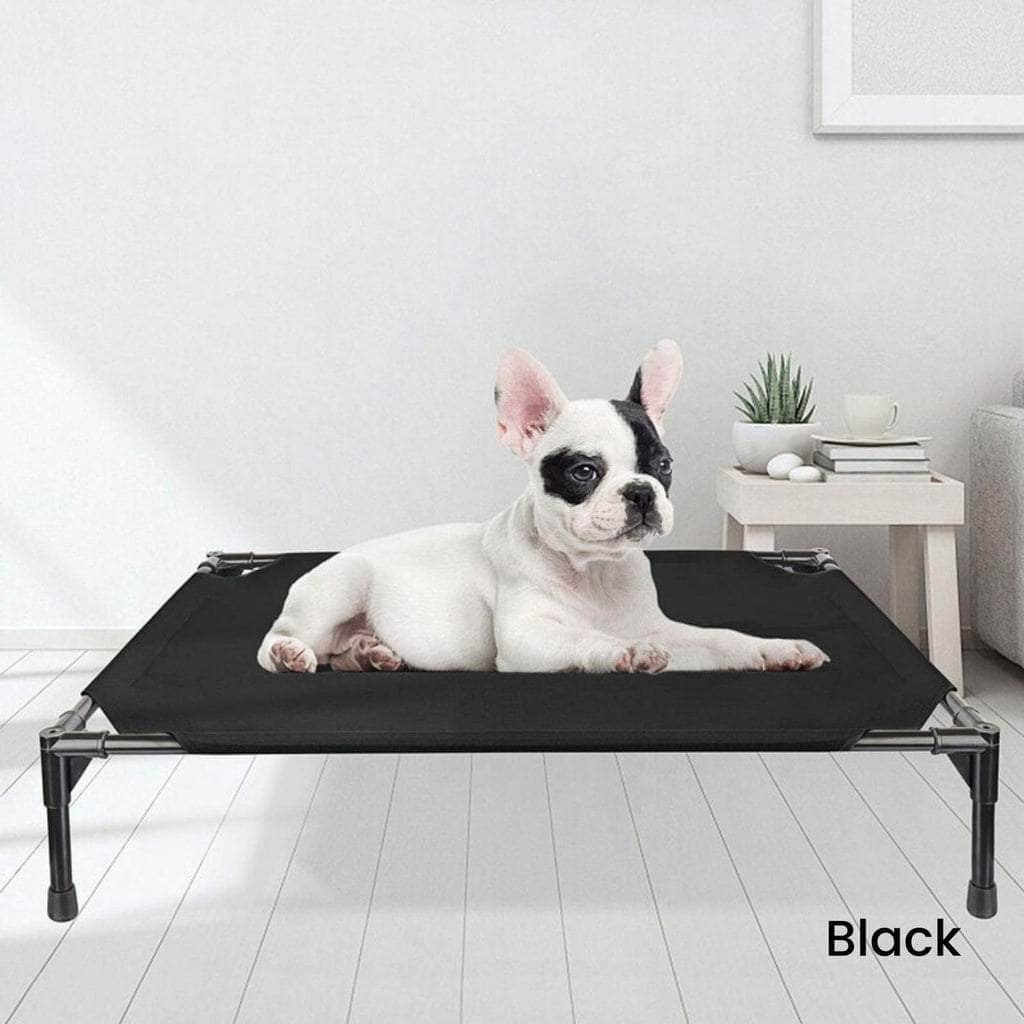 Elevated Pet Bed (Xl Black)