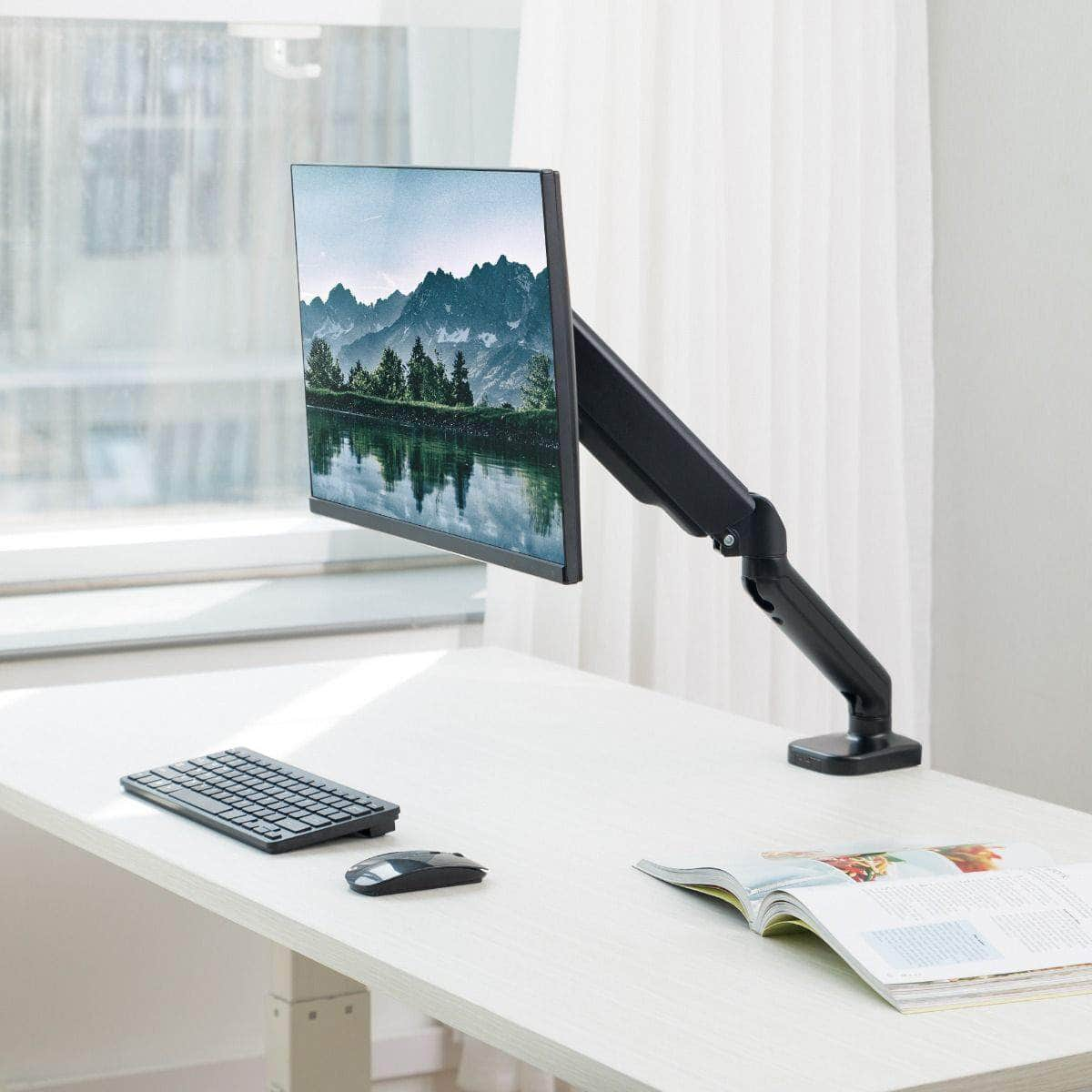 Ergolife Single Monitor Screen Steel Gas Spring Monitor Arm