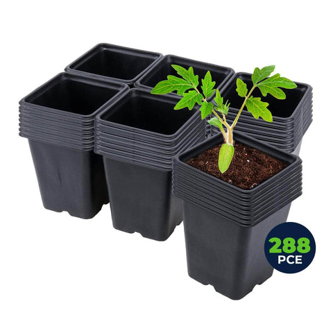 Garden Greens 288Pce Planter Seedling Pot Square Reusable Durable 11Cm X 12Cm