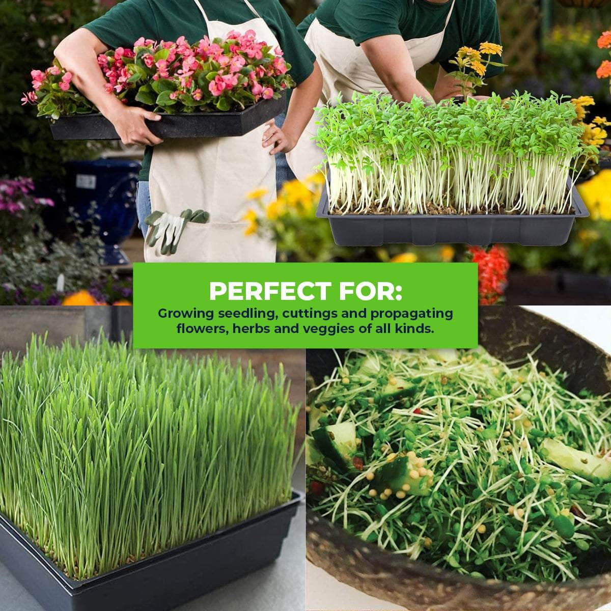 Garden Greens 72Pce Seedling Trays Lightweight Durable Reusable 24 X 35.5Cm