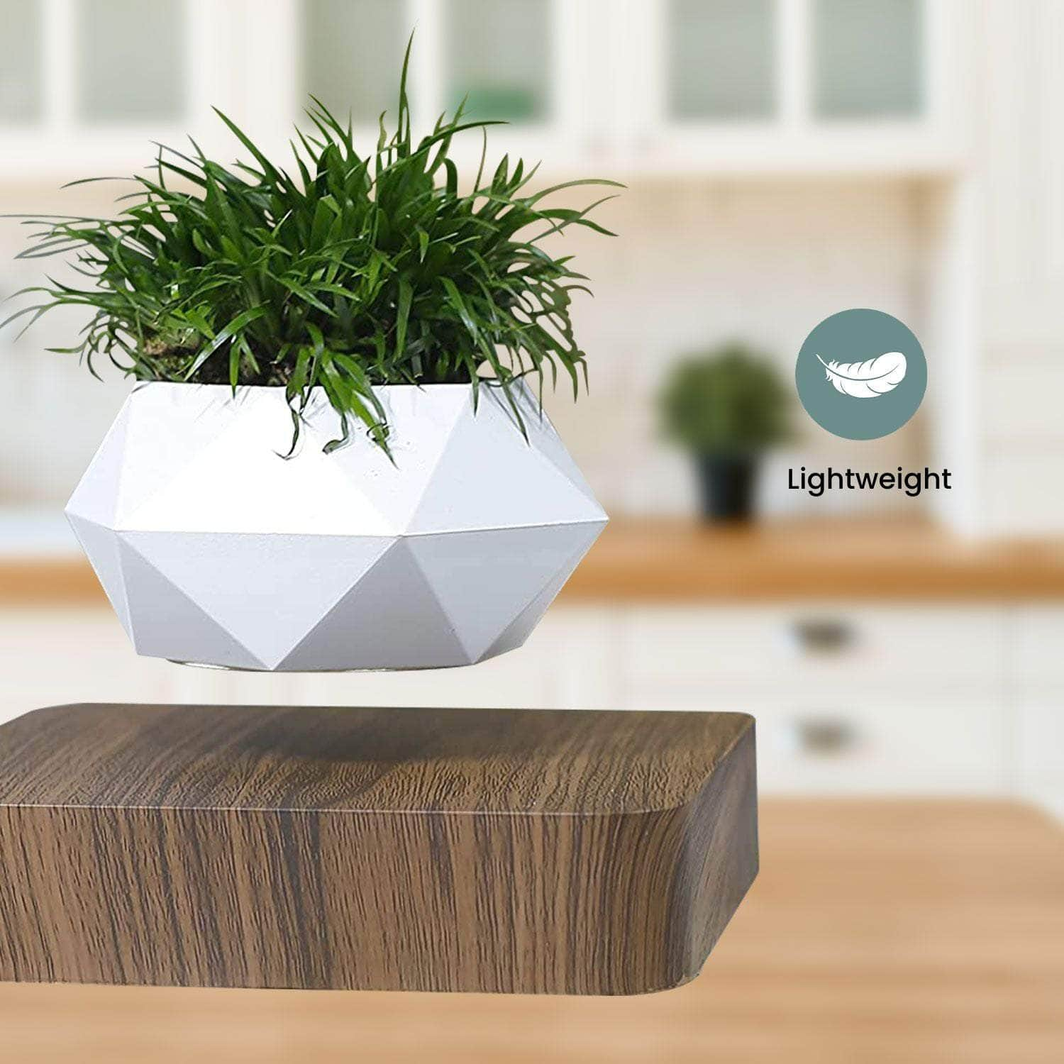 Magnetic Levitating Plant Pot Dark Brown Base