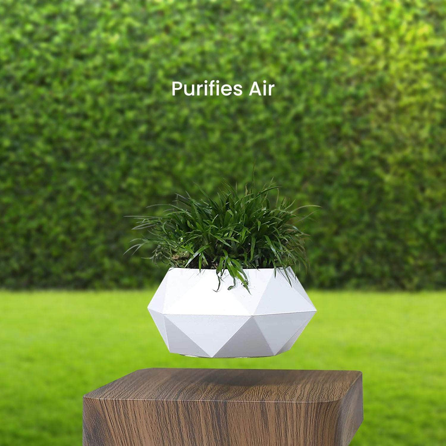 Magnetic Levitating Plant Pot Dark Brown Base