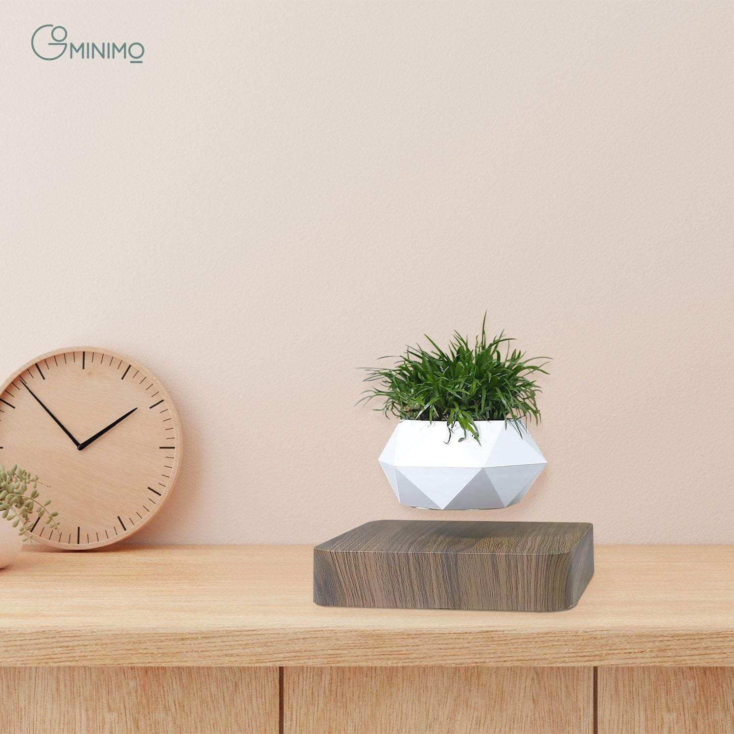 Magnetic Levitating Plant Pot Dark Brown Base