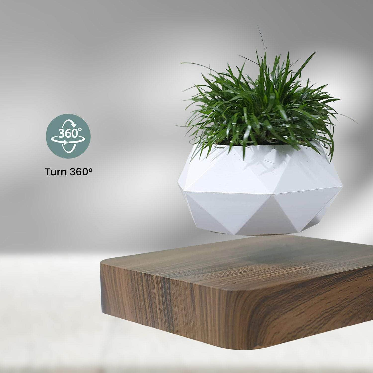 Magnetic Levitating Plant Pot Dark Brown Base