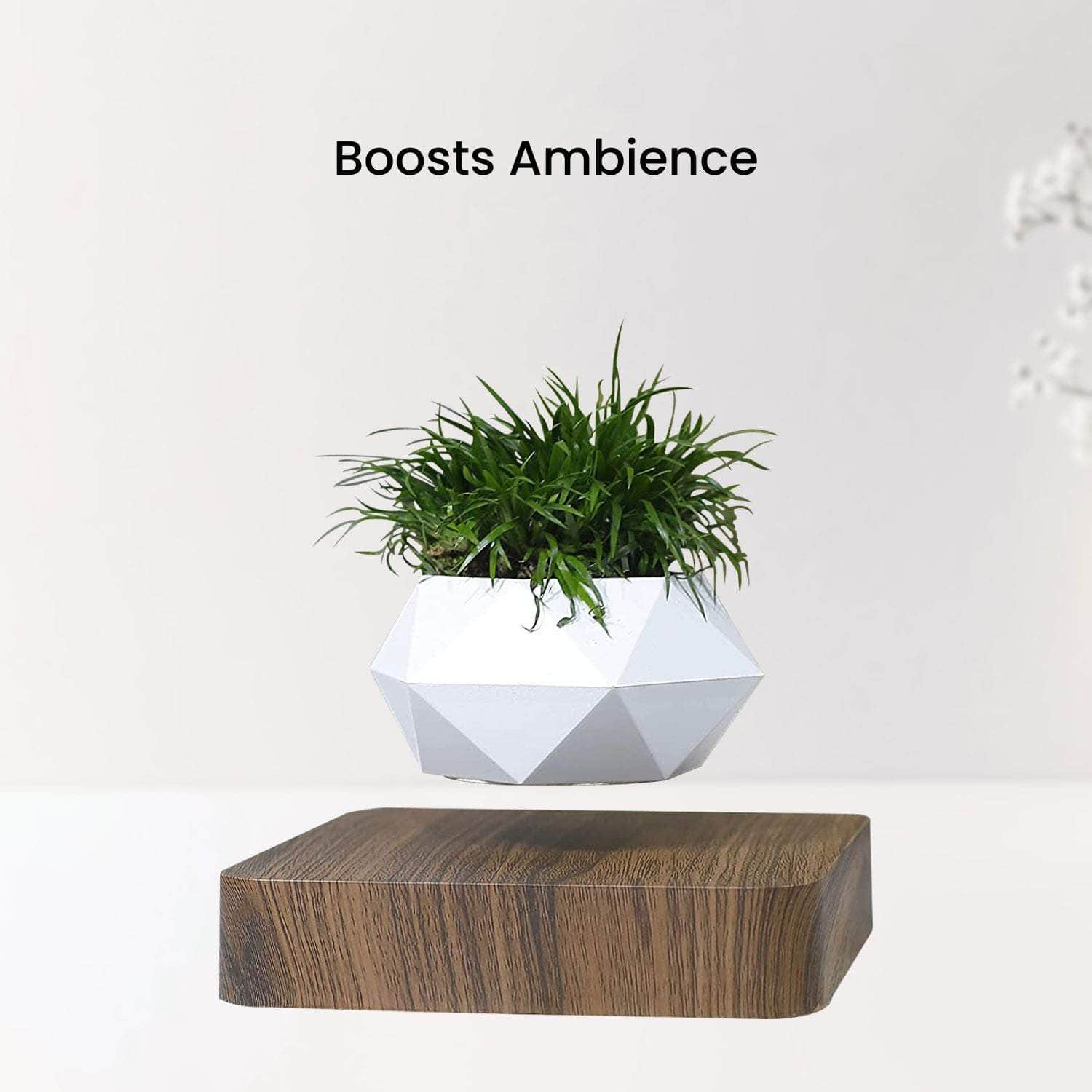 Magnetic Levitating Plant Pot Dark Brown Base