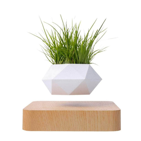 Magnetic Levitating Plant Pot (Light Brown Base)