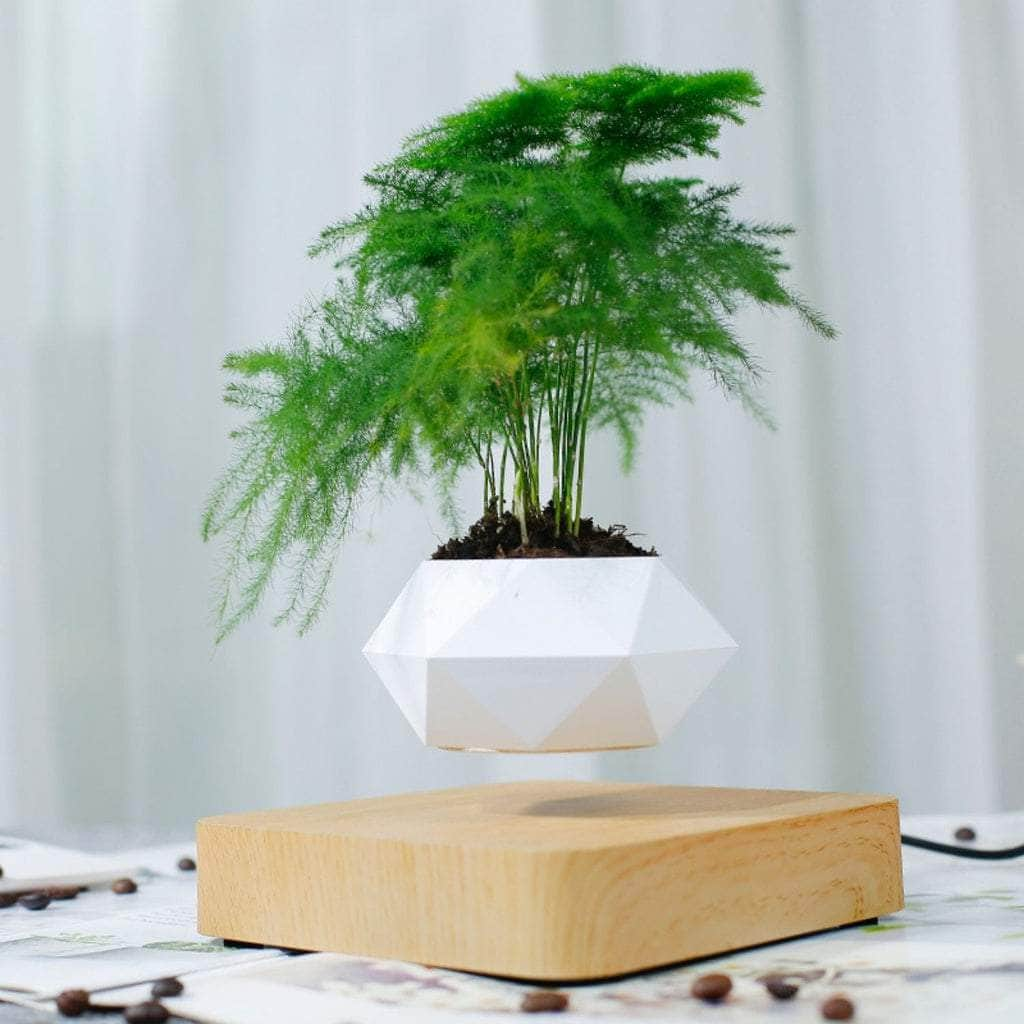 Magnetic Levitating Plant Pot (Light Brown Base)