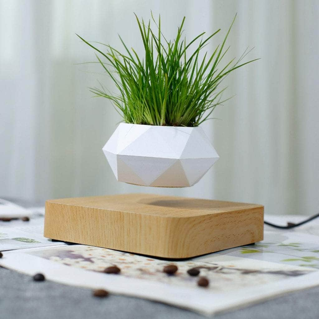 Magnetic Levitating Plant Pot (Light Brown Base)