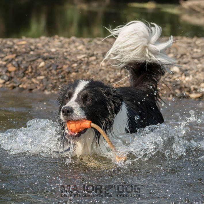 Major Dog Swimming Eddy Floating Fetch Toy With Handle - Small