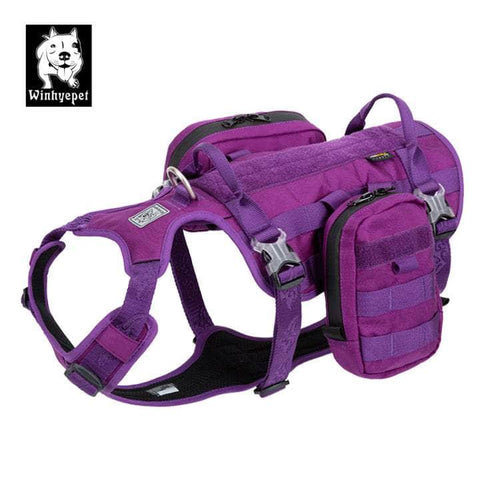 Military Harness Purple L