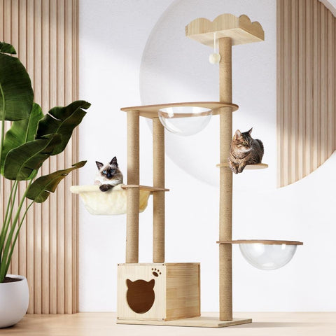 op Cat Furniture Picks for Play, Rest, and Scratching