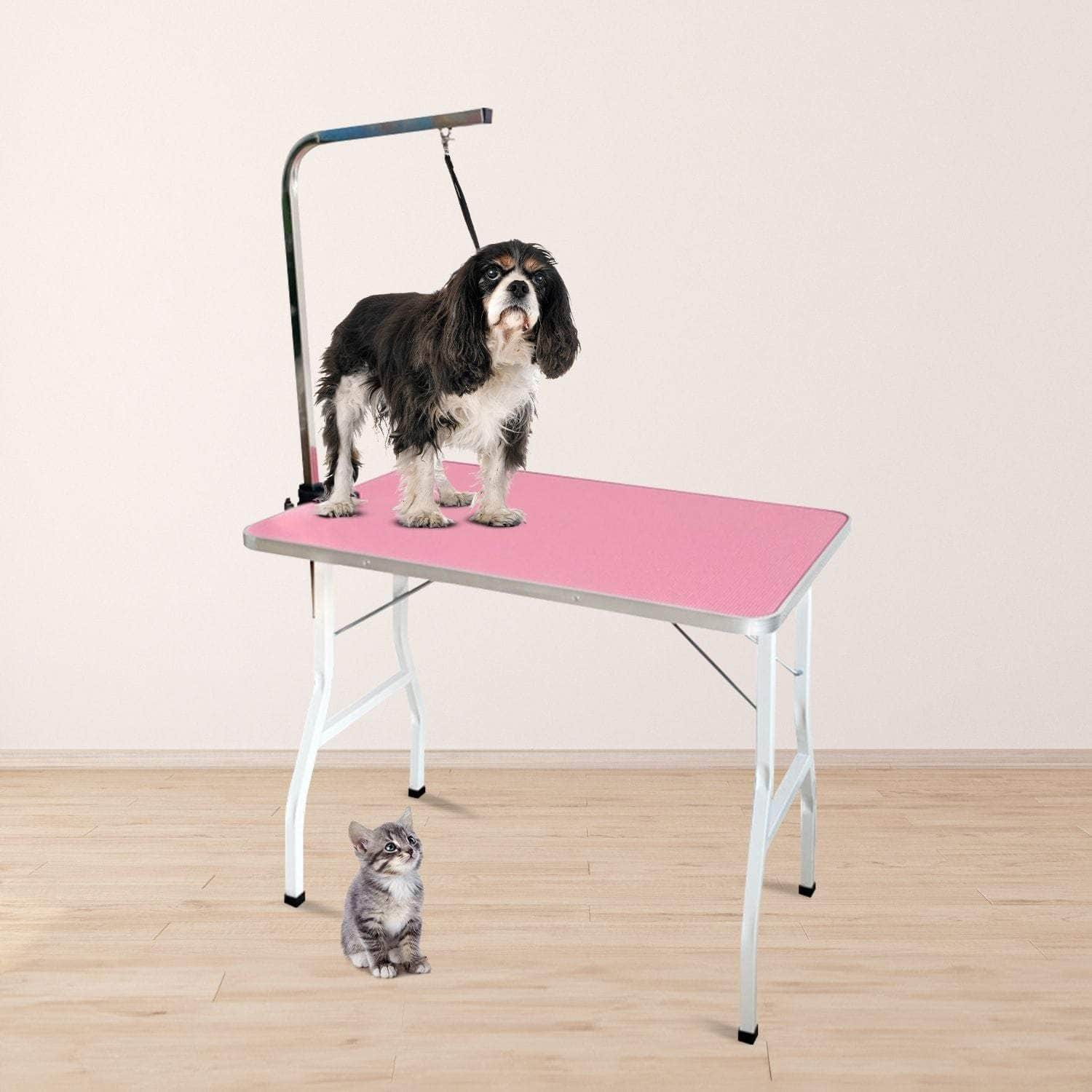 Pet Grooming Table 90cm Single Pole